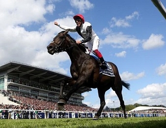 Golden Horn remet son invincibilité en jeu