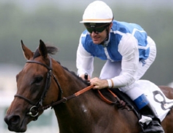 Goldikova a remporté 14 Groupes I
