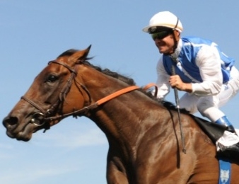 Goldikova en lice pour un quadruplé