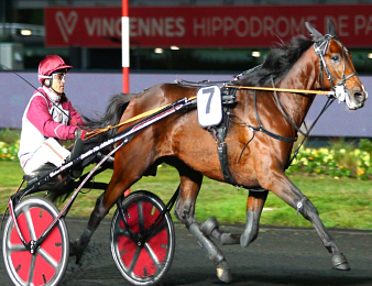 Gotland tente la passe de six