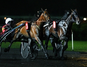 Grand Prix de Belgique, Quinté plus PMU du dimanche 14 janvier à Vincennes