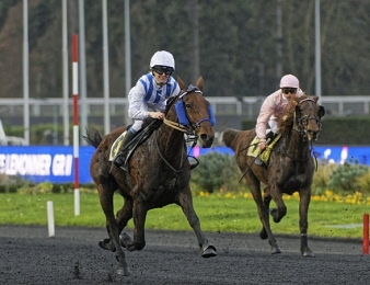 Granvillaise Bleue sera la favorite du Prix de l'Ile-de-France ce dimanche 5 février.