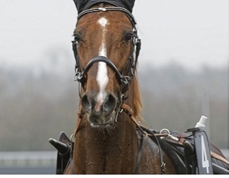 Gu d'Heripré remporte la Q5 !