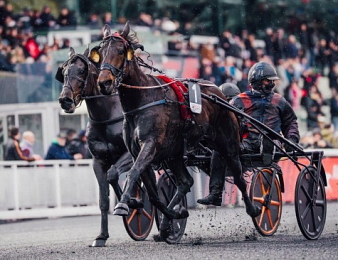 Harmony du Rabutin peut remettre les pendules à l'heure