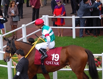 Harp Star a terminé sixième du Prix de l'Arc de Triomphe 2014