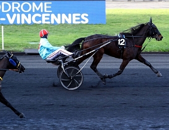 Havana d'Aurcy remporte le Critérium des Jeunes à Vincennes.