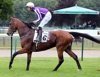 Highland Reel a réalisé une carrière extraordinaire