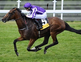 Highland Reel s'impose dans le King George