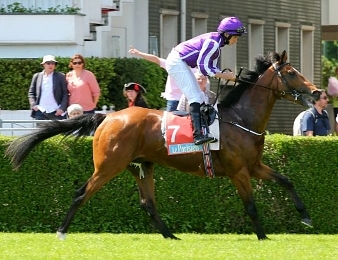 Highland Reel sera au départ des King George ce samedi 29 juillet à Ascot