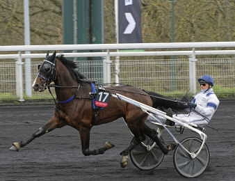 Hip Hop Haufor passe un test en vue du Prix de Cornulier