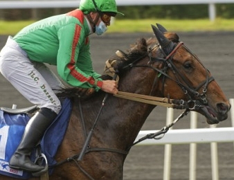 Hirondelle du rib va tenter le doublé Prix de Normandie - Prix des Elites.