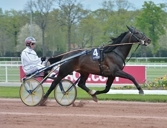 Historique Bird Parker