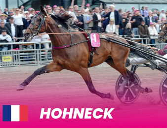 Hohneck défendra son titre dans l'Elitloppet