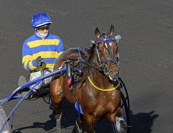 Hokkaido Jiel devrait rentrer dans le Prix de Bretagne.