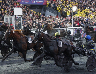 Hokkaido Jiel sacré dans le Prix d'Amérique Legend Race