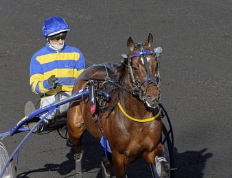 Hokkaido Jiel sera l'un des favoris au départ du Prix de Bretagne..