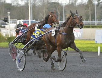 Hokkaido Jiel va tenter de remporter ce Critérium des 4 ans