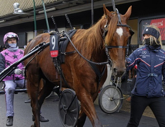 Hooker Berry renoue avec le succès.