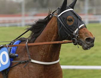 Horsy Dream confirme sa grande forme