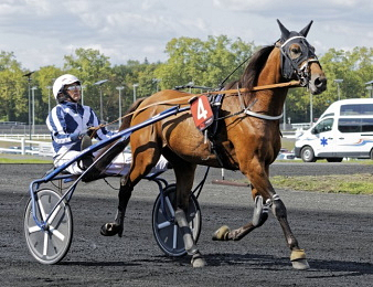 Horsy Dream toujours sur la touche.