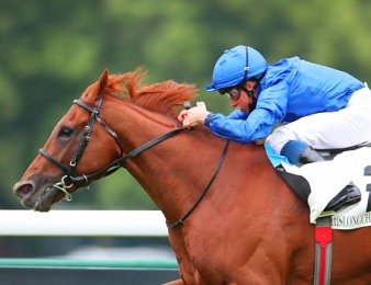 Hurricane Lane sera au départ du Grand Prix de Saint-Cloud