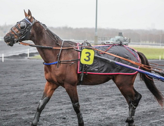 Ibiki de Houelle s'impose de bout en bout ce samedi à Caen.