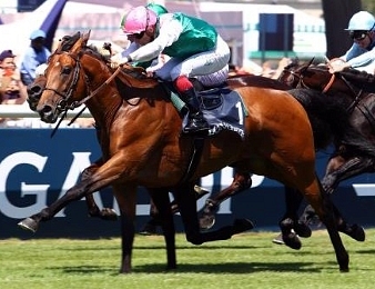 Ice Breeze remporte le Prix Royal-Oak ce dimanche 22 octobre à Saint-Cloud