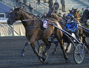 Idao de Tillard de retour en piste