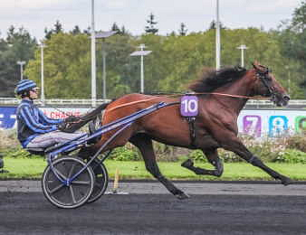 Idao de Tillard sera au départ de l'Elitloppet en Suède