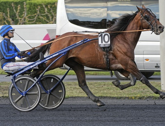 Idao de Tillard sera le favori du Prix du Bourbonnais ce dimanche 8 décembre à Vincennes.