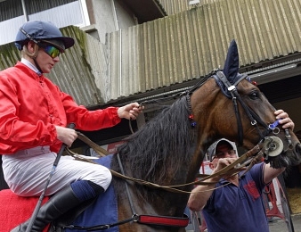 Idéale du Chêne a remporté le Prix de Vincennes ce dimanche 27 décembre à Vincennes.