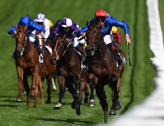 Ils seront 11 au départ du Prix du Jockey Club ce dimanche 4 juin à Chantilly.