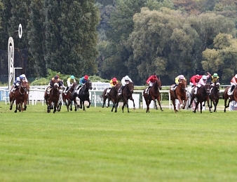 Ils seront 8 concurrents au départ du Critérium de Maisons-Laffitte ce vendredi 14 octobre