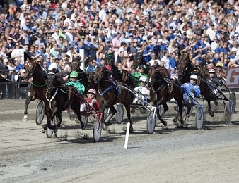 Ils seront dix au départ du Grand Prix d'Oslo (Gr.I) à Bjerke