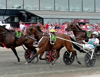 Ils seront onze partants au départ de la Finale du Grand Prix de l'UET disputée à Solvalla