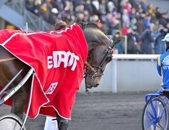 Ils seront treize au départ du Prix du Plateau de Gravelle