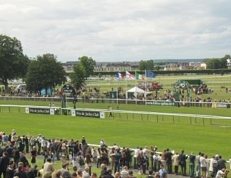 Ils sont encore 16 en lice en vue du Prix du Jockey Club 2016