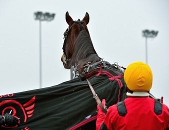 Ils sont encore dix-huit engagés dans le Grand Prix de Bourgogne dont Bold Eagle