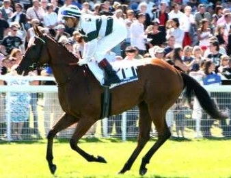 Immortal Verse lors de sa victoire dans le Prix Jacques Le Marois