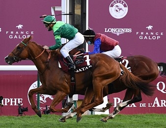 In Swoop a terminé deuxième de Sottsass dans le Prix de l'Arc de Triomphe 2020