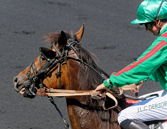 Ina du Rib sacrée dans le Prix de l'Ile-de-France