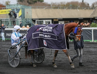 Inexess Bleu en mode compétition