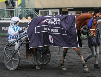 Inexess Bleu s'impose ce samedi 25 juillet à Enghien.