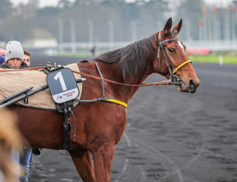 Inmarosa crée la surprise
