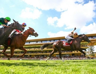 Iresine remporte le Prix Foy