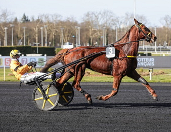 Iroise de la Noé s'empare du Prix d'e France Eqwin ce dimanche 8 février à Vincennes.