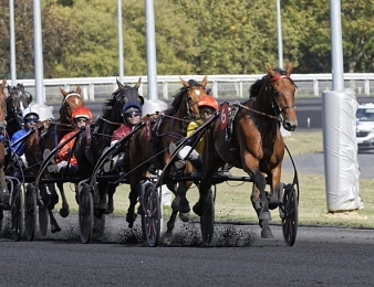 It's a Dollarmaker s'impose au niveau Groupe 2 ce samedi 15 avril à Vincennes.