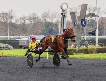 It's a Dollarmaker sacré dans la Finale du GNT