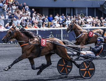 Jabalpur est dans la forme de sa vie à l'heure actuelle.