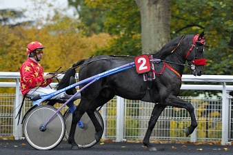 Jean Boillereau avec son champion Punchy
